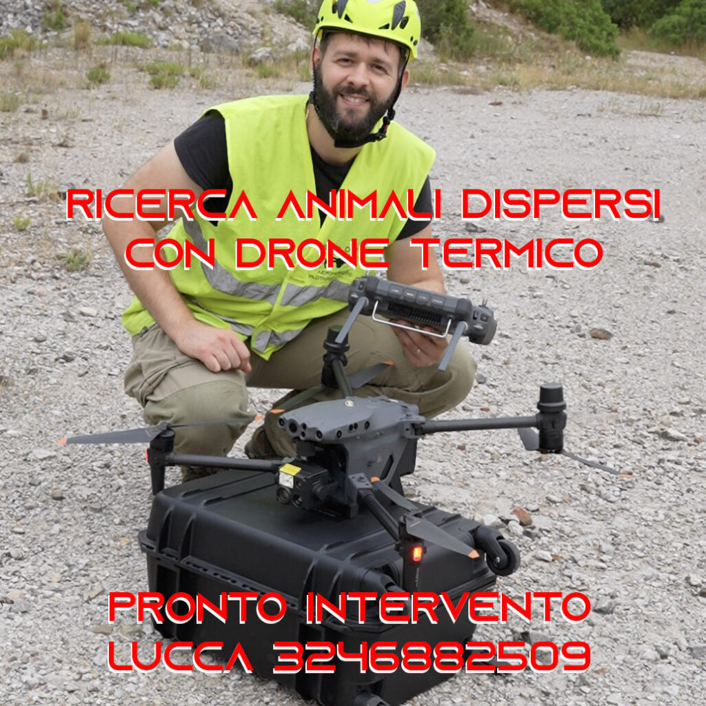 La ricerca di animali smarriti con droni